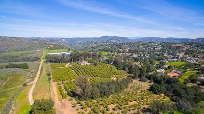 fallbrook